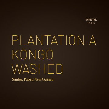 Plantation A Kongo Washed