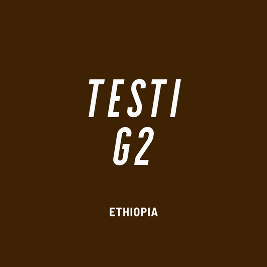 Ethiopia Yirgacheffe Testi G2