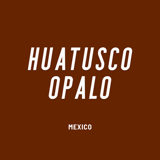 Mexico Huatusco Opalo Washed