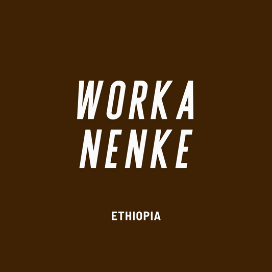 Ethiopia Yirgacheffe Worka Nenke