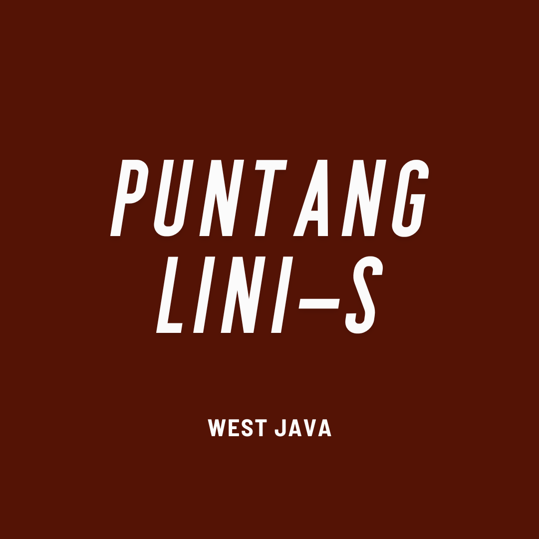 Indonesia Puntang Lini-S