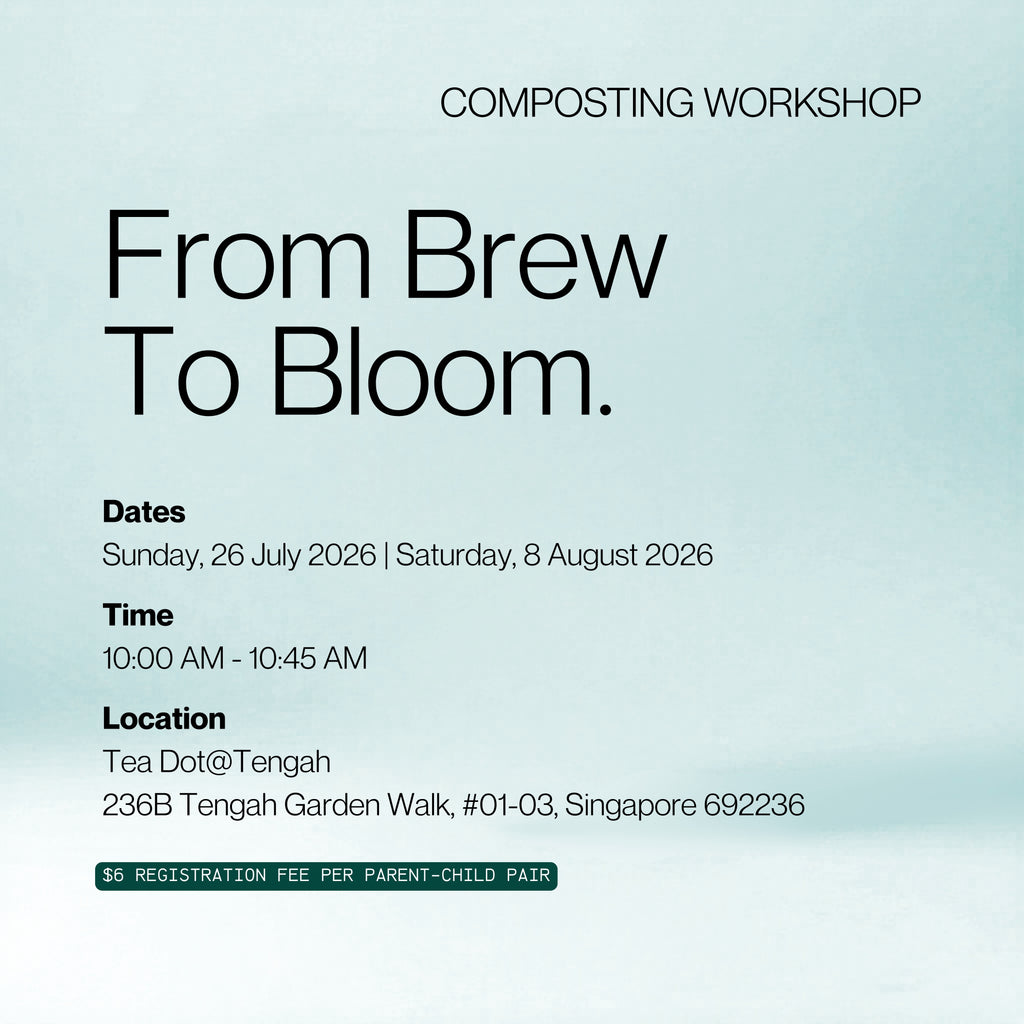 Composting Workshop
