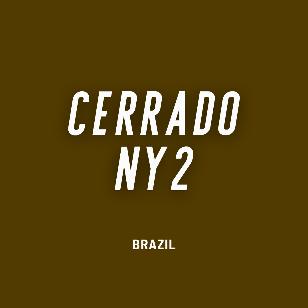 Brazil Cerrado NY 2