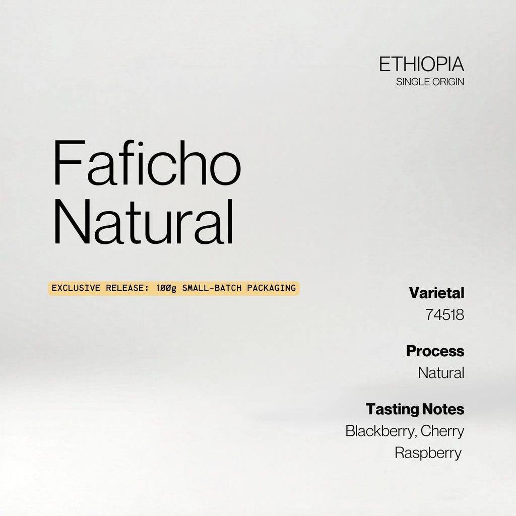 Ethiopia Faficho Natural