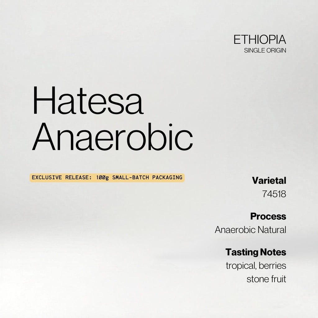 Ethiopia Hatesa Anaerobic