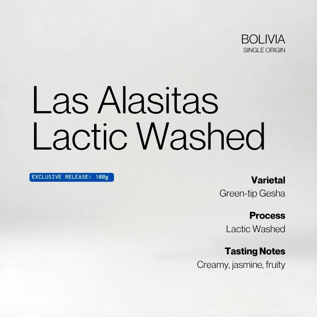 Bolivia Las Alasitas Lactic Washed