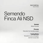 Indonesia Semendo Finca Ali NSD