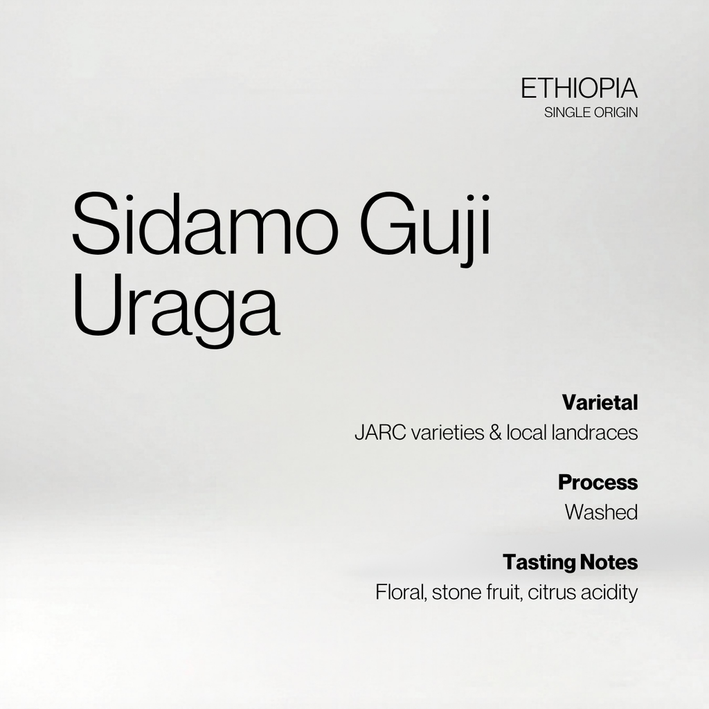 Ethiopia Sidamo Guji Uraga