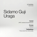Ethiopia Sidamo Guji Uraga