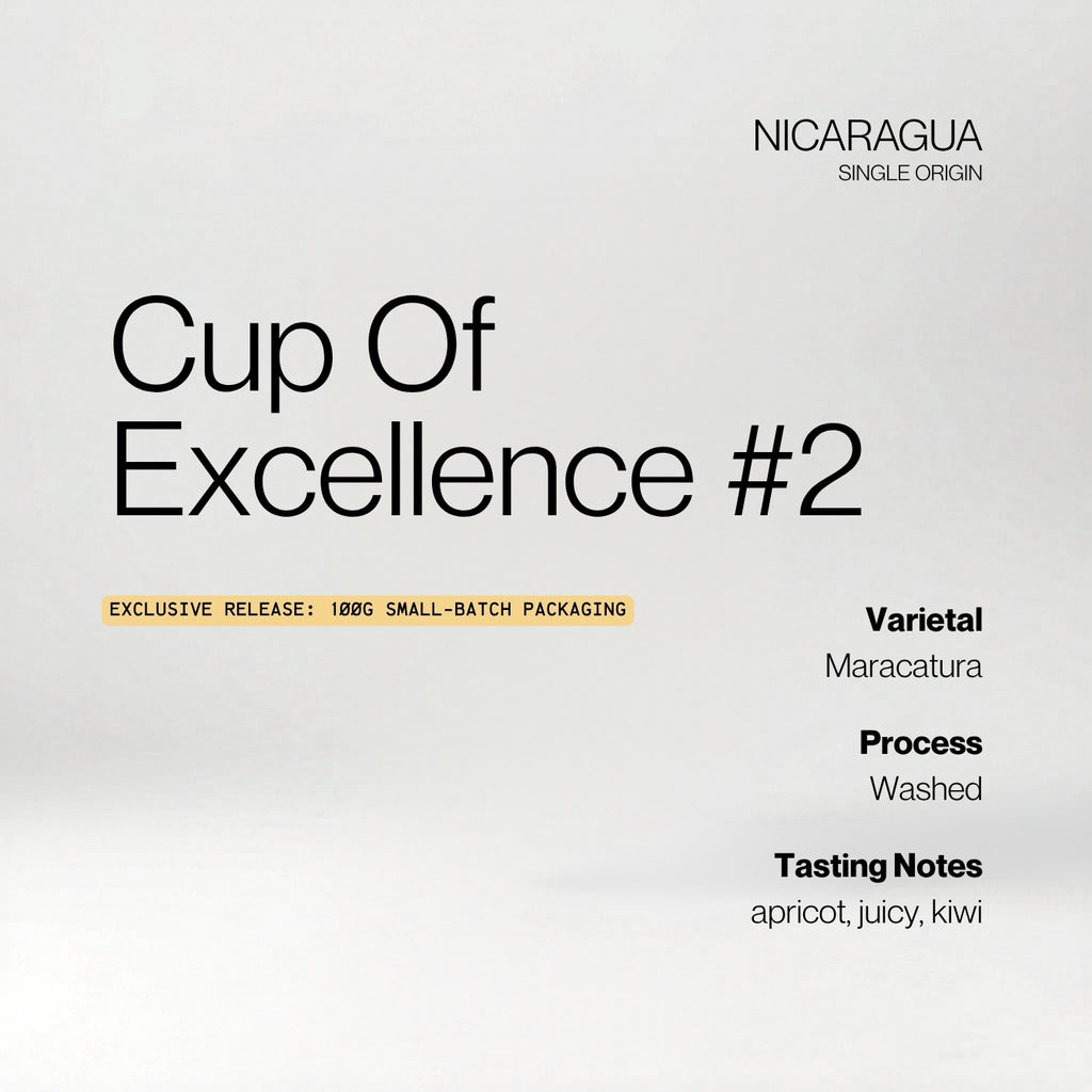 Nicaragua Cup Of Excellence #02