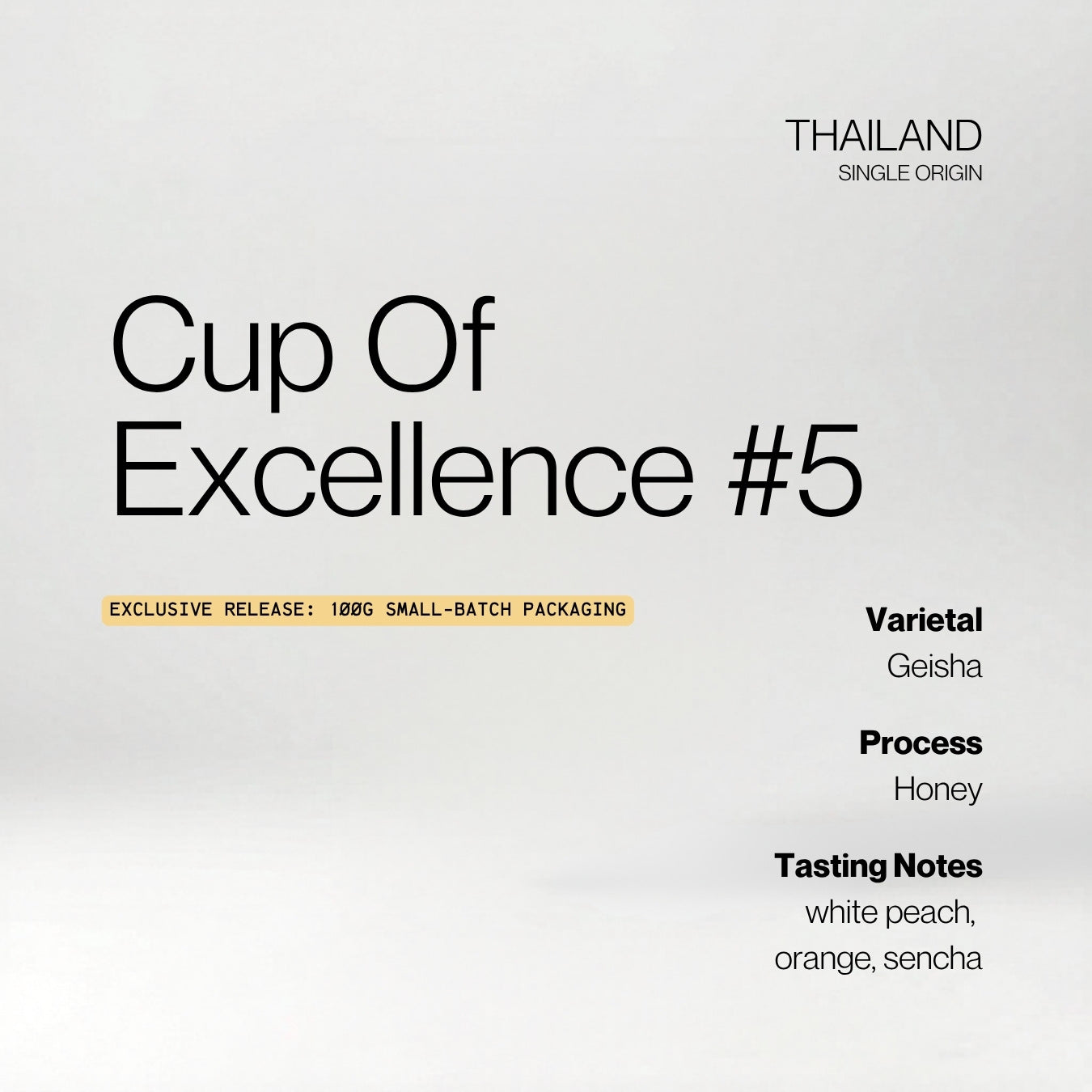 Thailand Cup Of Excellence #05