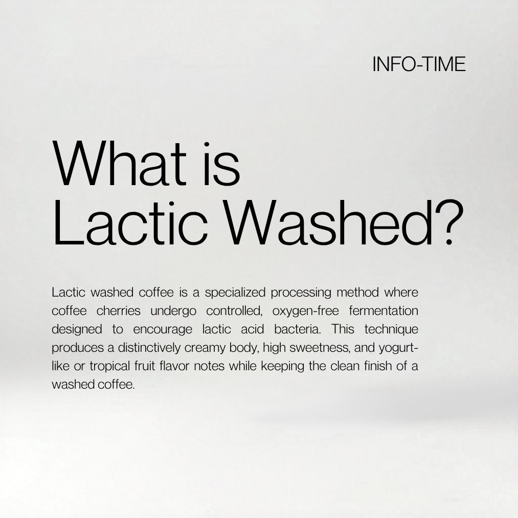 Bolivia Las Alasitas Lactic Washed